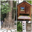 物件イメージ01